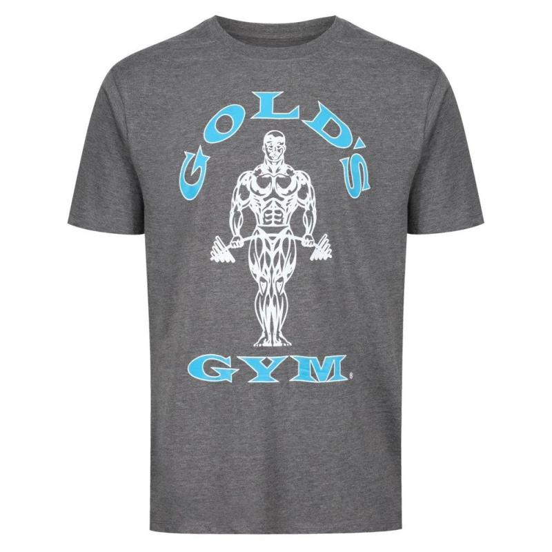 Image of Golds Gym Gym Muscle Joe T Shirt Mens - Grey Grey S