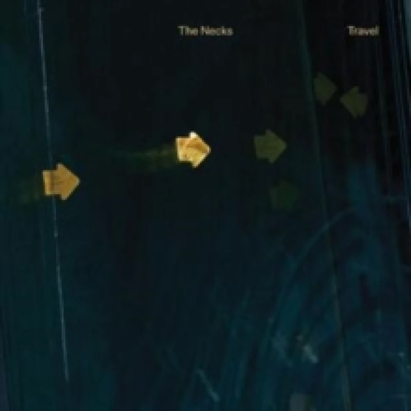 Image of Travel Vinyl