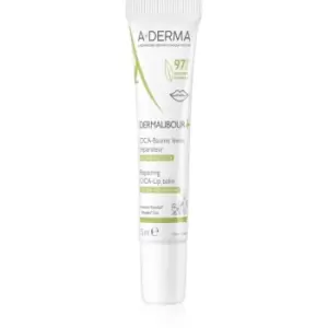 Image of A-Derma Dermalibour+ lip balm 15 ml