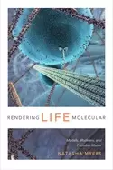 Image of rendering life molecular models modelers and excitable matter