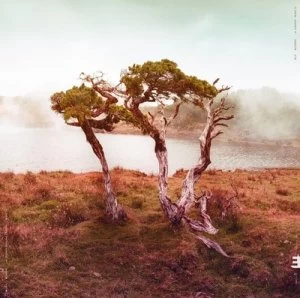 Image of Juniper by Slowly Rolling Camera CD Album