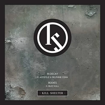 Image of Kill Shelter - In Decay Vinyl