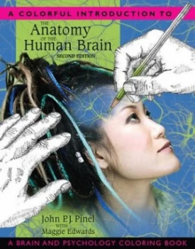 Image of A Colourful Introduction to the Anatomy of the Human Brain by John P.J. Pinel Paperback