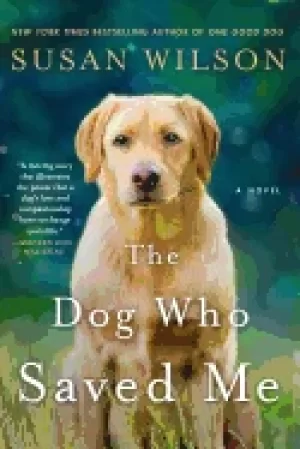 Image of dog who saved me a novel