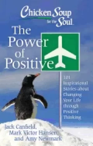 Image of chicken soup for the soul the power of positive 101 inspirational stories a