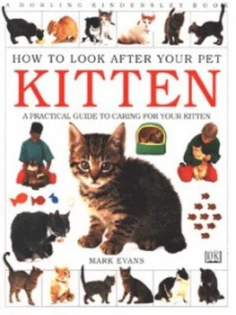 Image of Kitten by Mark Evans Paperback
