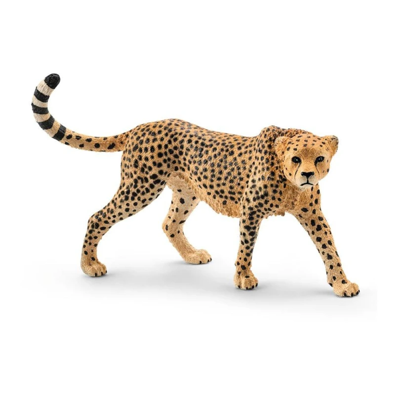 Image of Figurine: Schleich Wild Life Female Cheetah Toy Figure, 3 to 8 Years (14746) Multi