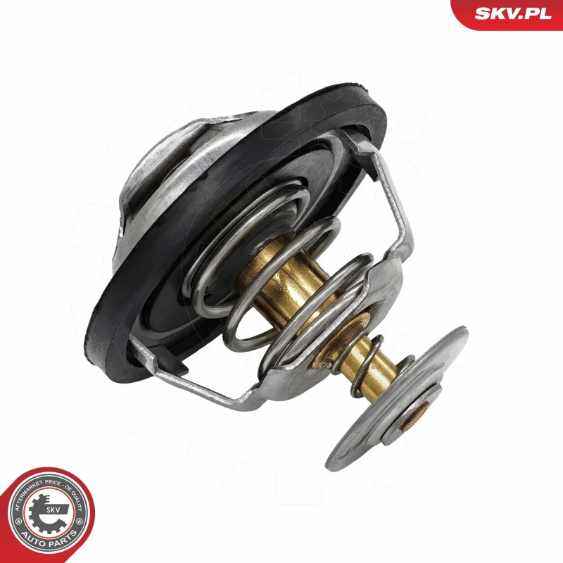 Image of ESEN SKV Thermostat ESEN SKV 20SKV245