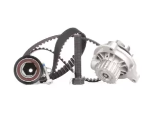 Image of INA Water Pump + Timing Belt Kit VW,AUDI 530 0173 30 046109119,074109119A,074109119B 074109119E,074109119R,074109243F,074109243G,074109243J,074121004
