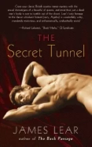 Image of secret tunnel