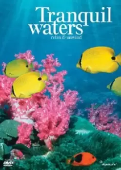 Image of Relax and Unwind Tranquil Waters - DVD