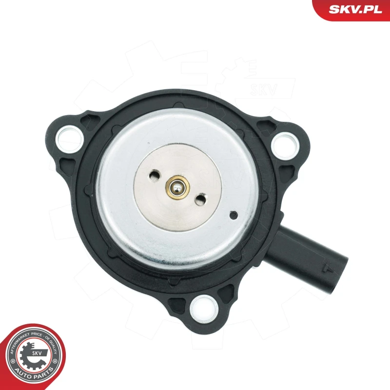 Image of ESEN SKV Camshaft adjuster magnet ESEN SKV 39SKV905