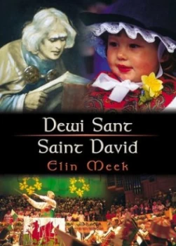 Image of Dewi Sant by Elin Meek Book