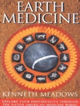 Image of Earth Medicine by Kenneth Meadows Paperback