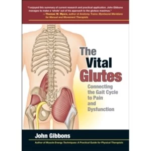 Image of The Vital Glutes : Connecting the Gait Cycle to Pain and Dysfunction