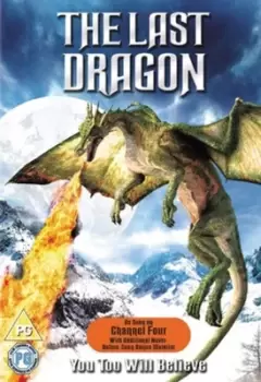 Image of The Last Dragon - DVD - Used