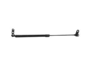 Image of RIDEX Tailgate strut NISSAN 219G0412 9045001B00