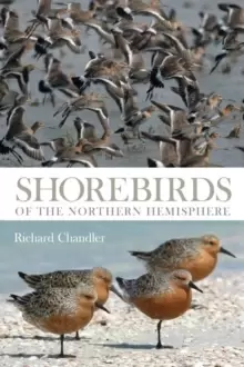 Image of Shorebirds of the Northern Hemisphere