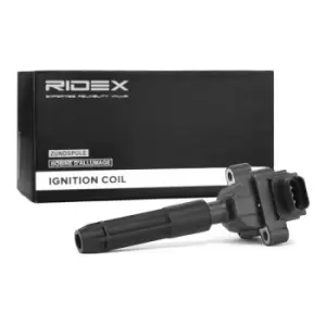 Image of RIDEX Ignition coil 689C0227 Coil pack,Ignition coil pack MERCEDES-BENZ,C-Klasse Limousine (W203),C-Klasse T-modell (S203),E-Klasse Limousine (W210)