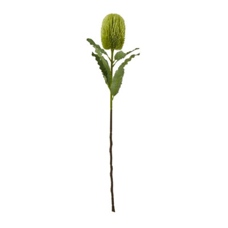 Image of Hill Interiors Banksia Serrata Artificial Flower Green (One Size)