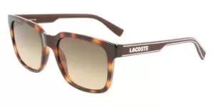 image of Lacoste Sunglasses L967S 230