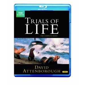 image of Trials Of Life Bluray