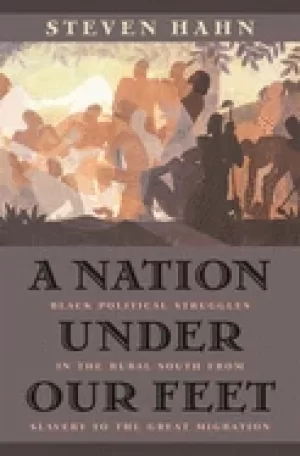 Image of nation under our feet Black political struggles in the rural south from sla