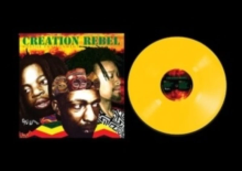 Image of Hostile Environment Vinyl