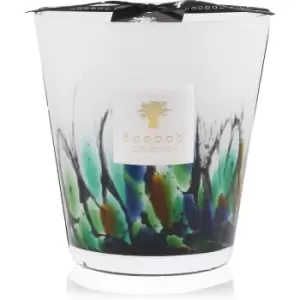 Image of Baobab Collection Rainforest Amazonia Scented Candle 16cm
