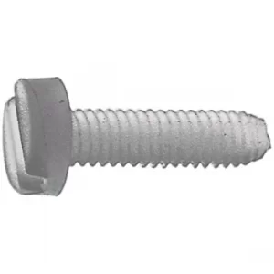 Image of Toolcraft Slotted Cheese Head Screws DIN 84 Polyamide M5 x 50mm Pa...