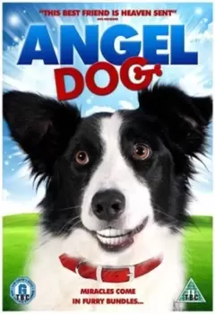 Image of Angel Dog - DVD