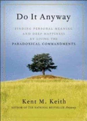 Image of do it anyway finding personal meaning and deep happiness by living the para