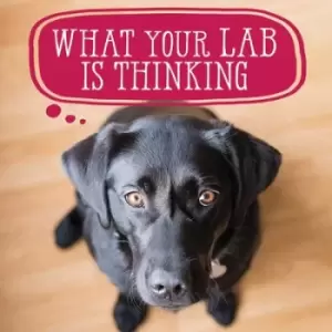 Image of What your lab is thinking by