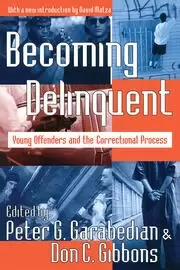 Image of Becoming Delinquent Young Offenders and the Correctional Process
