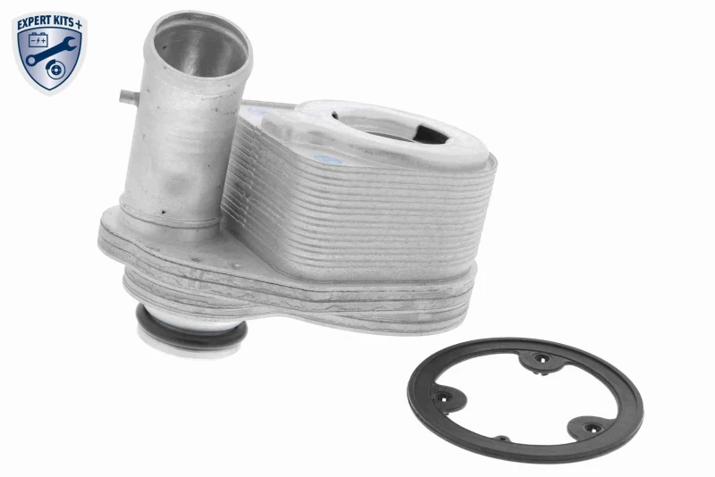 Image of Engine oil cooler VEMO V24-60-0011