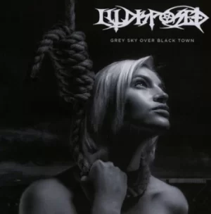 Image of Grey Sky Over Black Town by Illdisposed CD Album