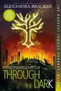 Image of through the dark