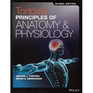 Image of Tortora's Principles of Anatomy and Physiology Set 15e Global Edition by Gerard J. Tortora, Bryan H. Derrickson...