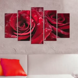 Image of 5PMDF-88 Multicolor Decorative MDF Painting (5 Pieces)