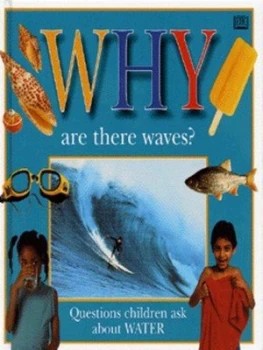 Image of Why Are There Waves by Dk Hardback