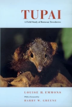 Image of Tupai by Louise H. Emmons Book