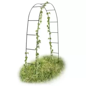 Image of 2m Black Powder Coated Steel Frame Garden Arch