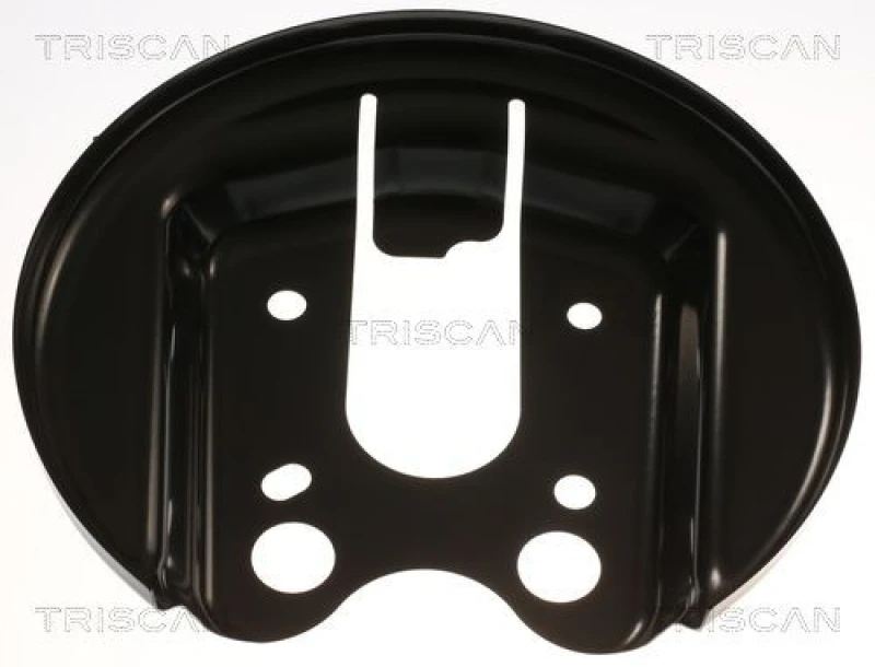 Image of TRISCAN Brake disc backing plate TRISCAN 8125 28209