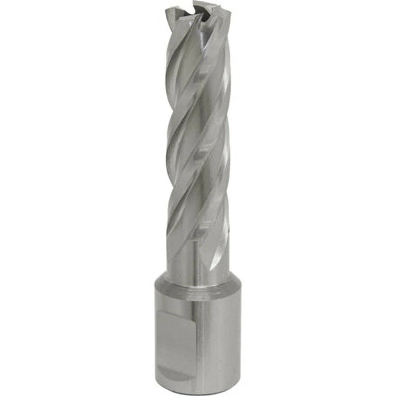 Image of Loops 15mm x 50mm Depth Rotabor Cutter - M2 Steel Annular Metal Core Drill 19mm Shank Metallics