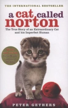 Image of A Cat Called Norton by Peter Gethers Paperback
