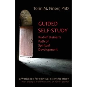 Image of Guided Self-Study by Torin M. Finser (Paperback, 2015)