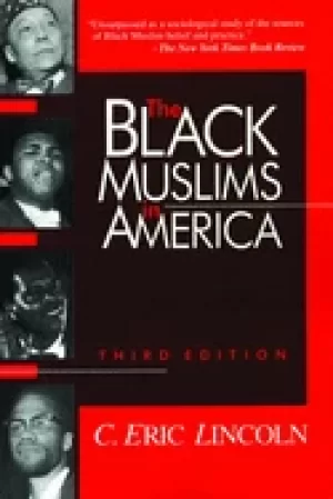 Image of black muslims in america