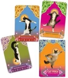 Image of Cat Yoga Postcards