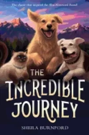 Image of incredible journey