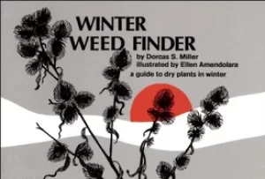 Image of winter weed finder a guide to dry plants in winter